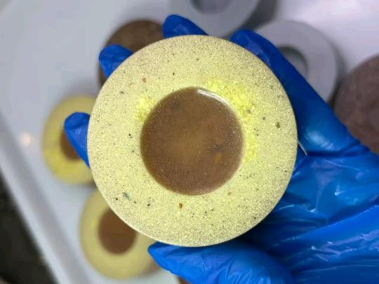 برای استخر رفتن استرس قارچ و ویروس داری؟